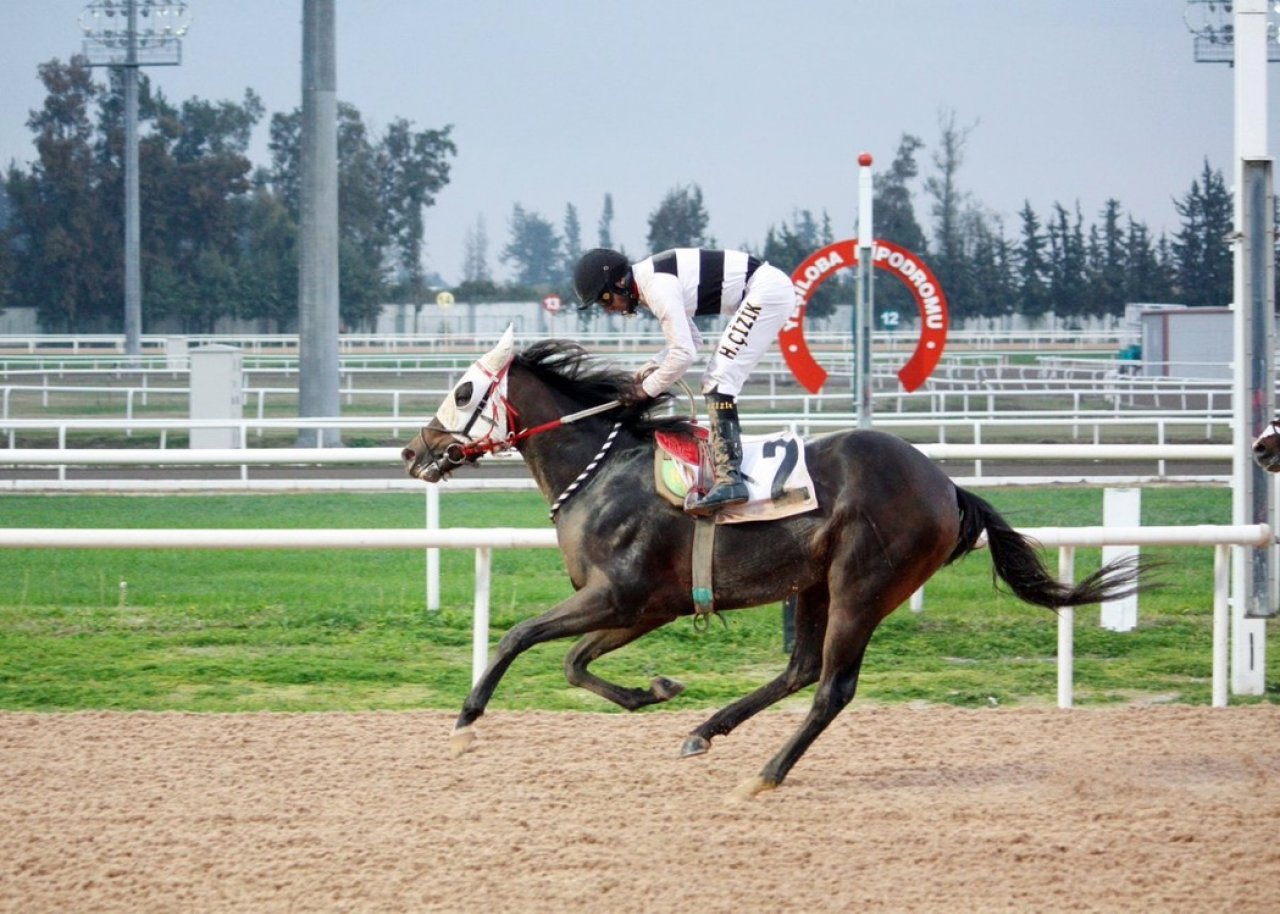 ADANA TAHMİNLERİM - 12 OCAK