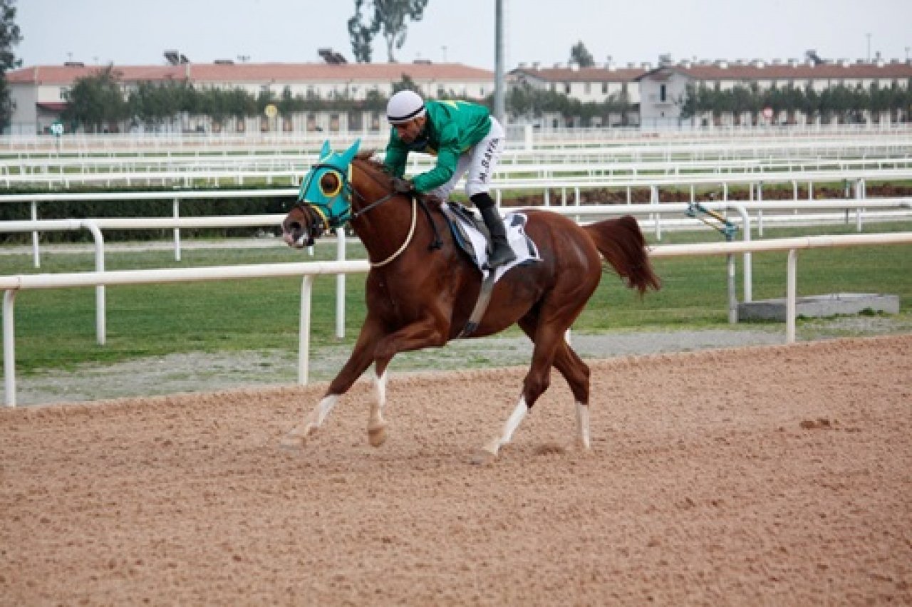 ADANA TAHMİNLERİM - 17 KASIM