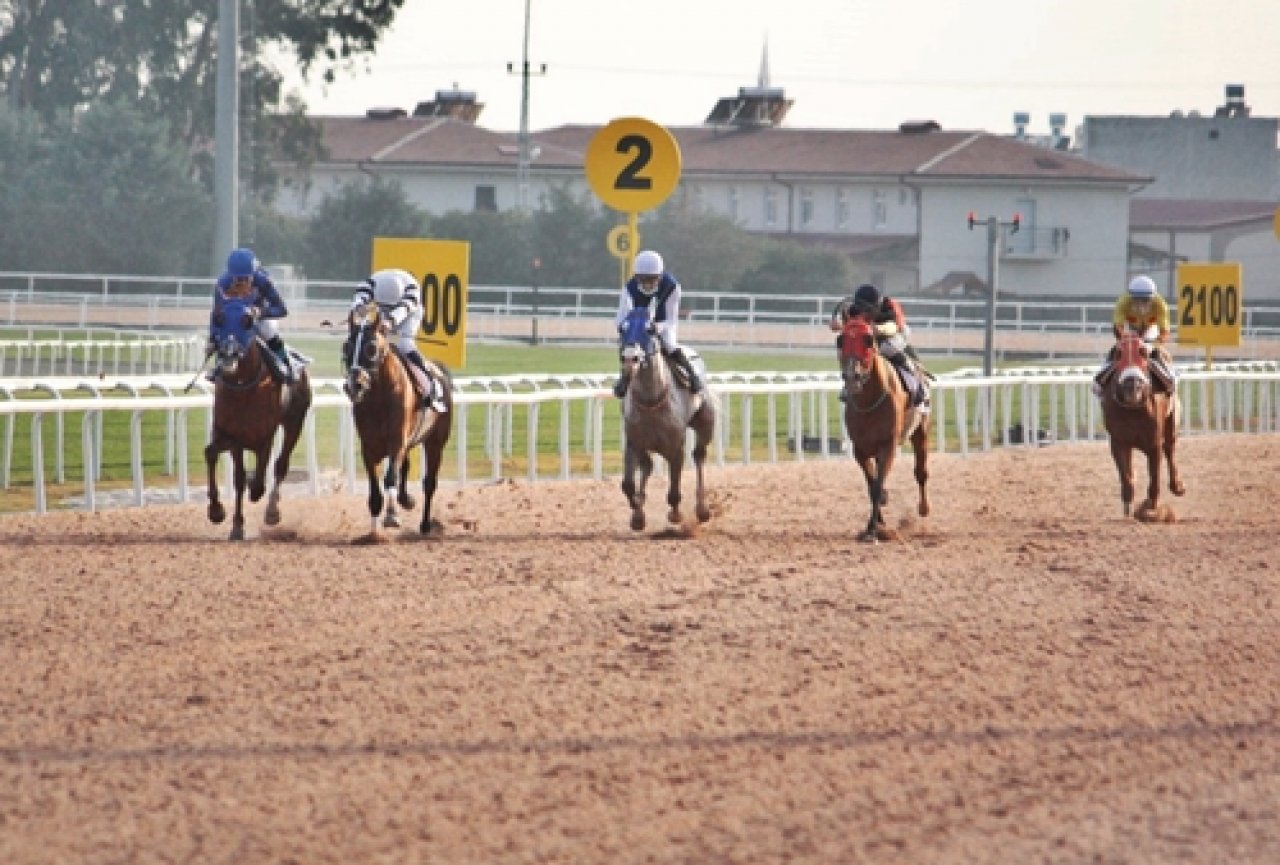 ADANA TAHMİNLERİM - 1 ARALIK